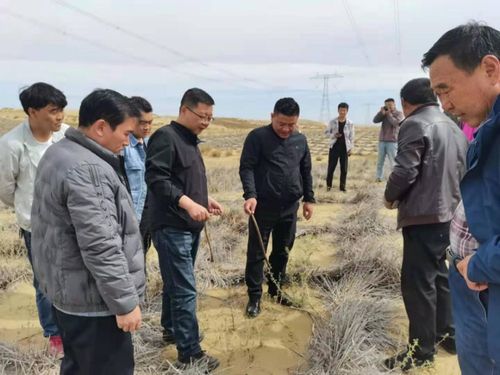 省林草局強(qiáng)化重點(diǎn)生態(tài)工程專項(xiàng)督查，保障建筑工程與生態(tài)保護(hù)協(xié)調(diào)發(fā)展